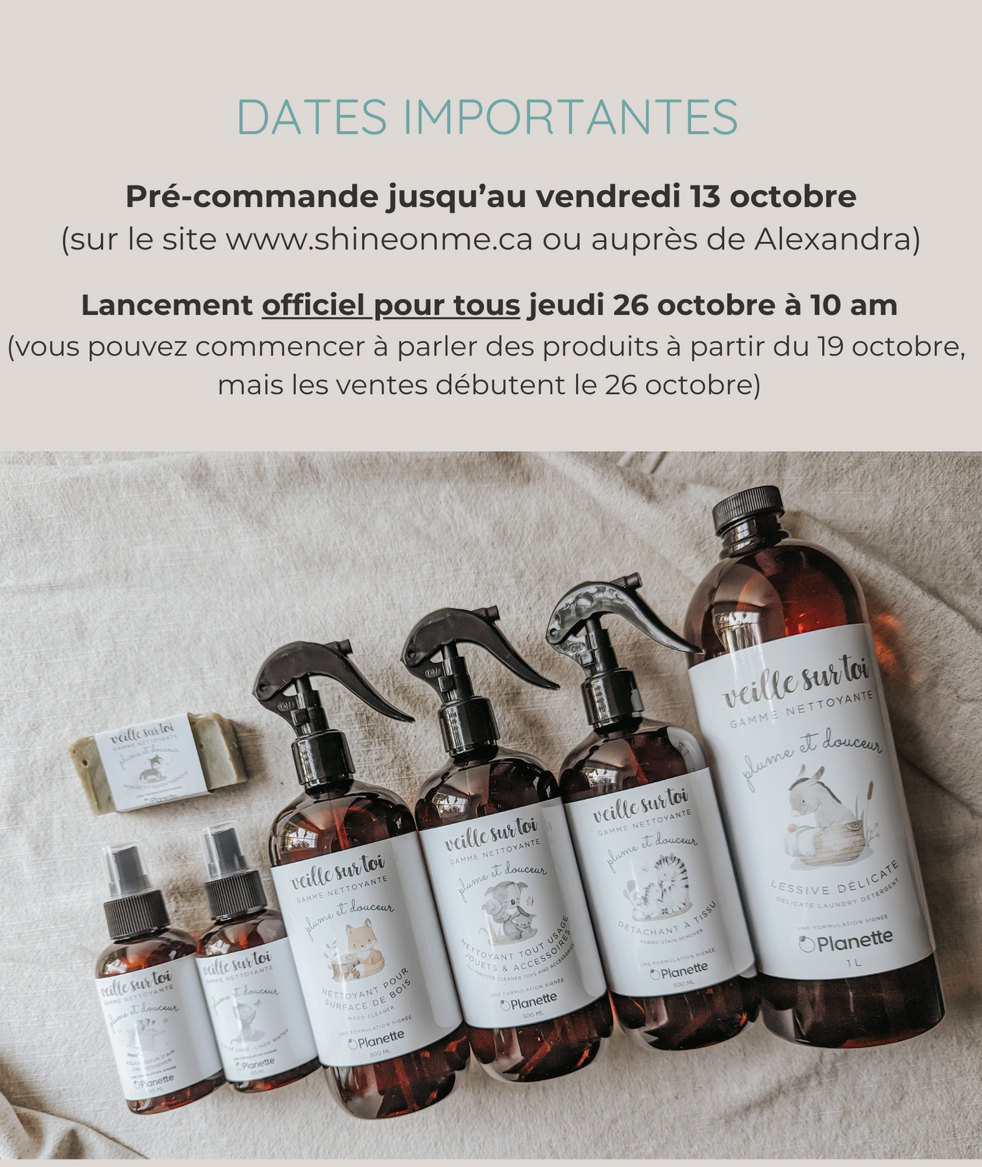 Gamme nettoyante - Détachant à tissu - 500 ml - Boite de 8 - Veille sur toi & Planette