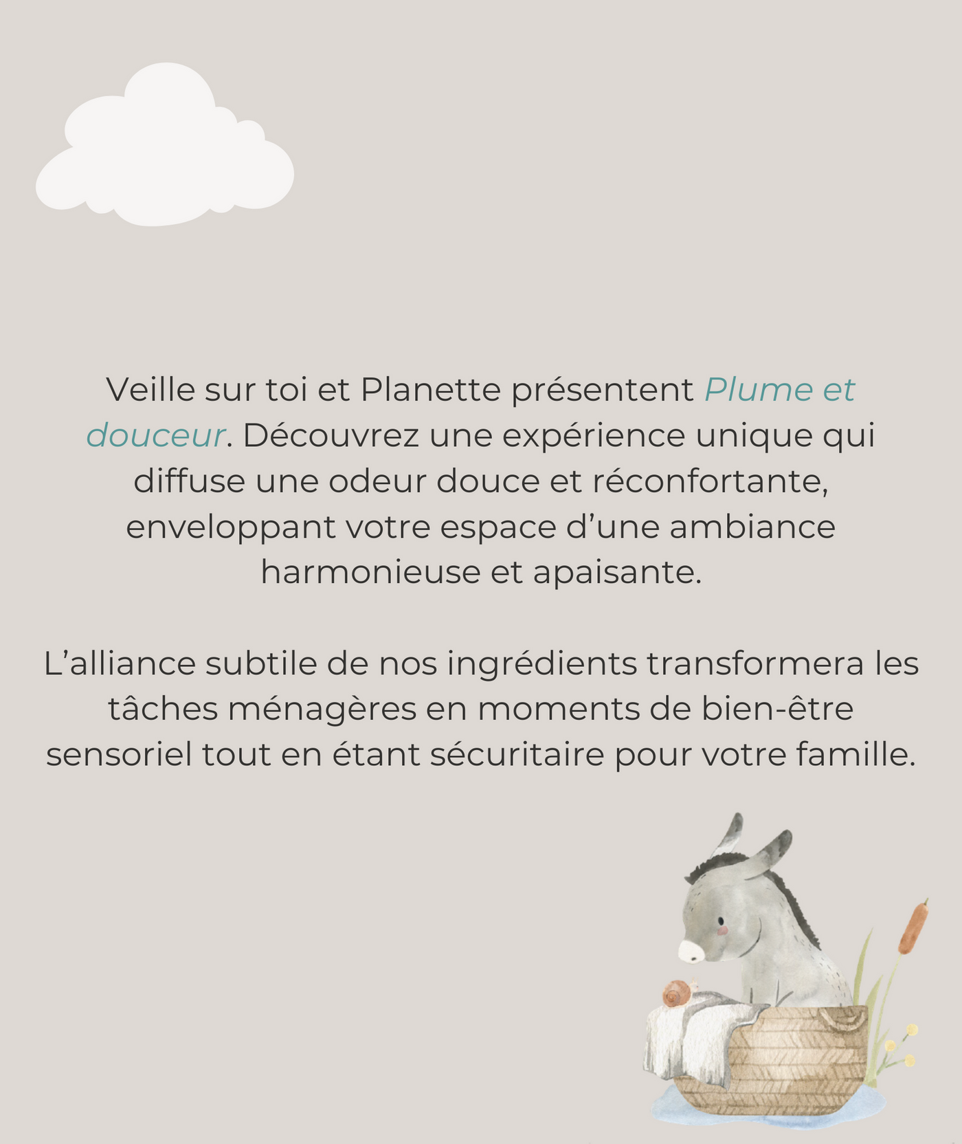 Gamme nettoyante - Lessive délicate - 1L - Boite de 6 - Veille sur toi & Planette