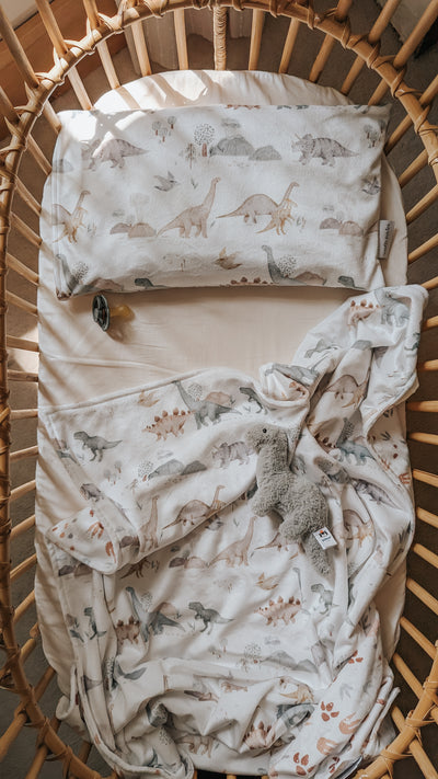 My little blanket - Jurassic - Veille sur toi