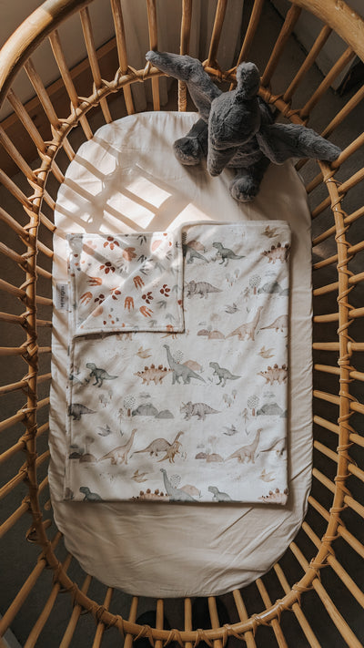 My little blanket - Jurassic - Veille sur toi