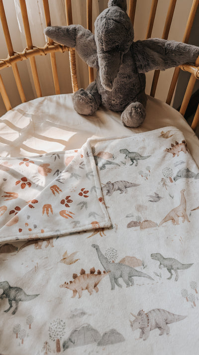 My little blanket - Jurassic - Veille sur toi