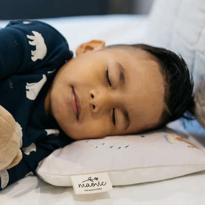 Mini buckwheat hull pillow - Maovic